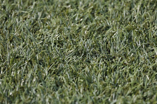 turf