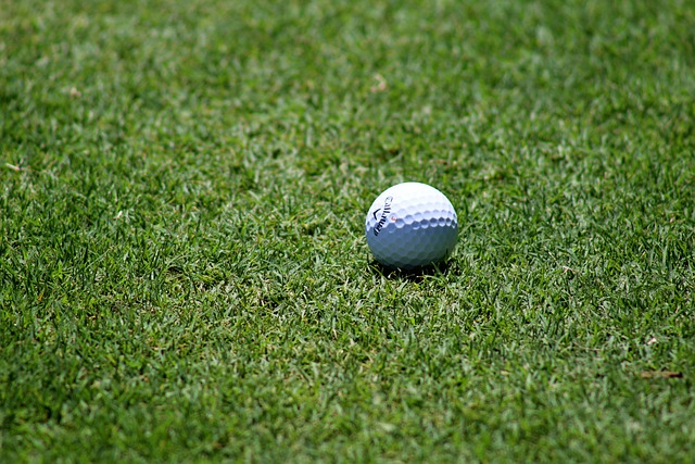 Synthetic turf in Texas