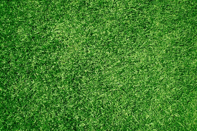 Synthetic Turf Stays Green